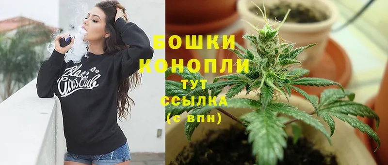 Конопля Ganja  Лебедянь 